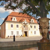 MUZEUM ZLATA NOVÝ KNÍN