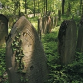 MĚSTO LUŽE: Židovský hřbitov