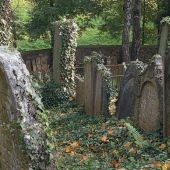 MĚSTO TŘEBÍČ: Židovský hřbitov