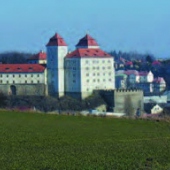 MUZEUM MLADOBOLESLAVSKA