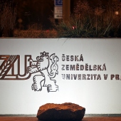 ČZU V PRAZE KOLEJE A MENZA: Logo vstup do ČZU ČZU V PRAZE KOLEJE A MENZA: Logo vstup do ČZU