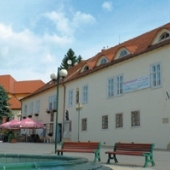 MUZEUM VE ŠLAPANICÍCH