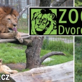 ZOO DVOREC