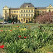 JIHOČESKÉ MUZEUM V ČESKÝCH BUDĚJOVICÍCH