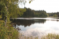 Idylka u rybníku