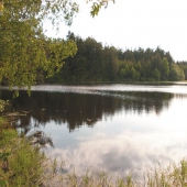 Idylka u rybníku Idylka u rybníku