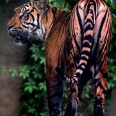 ZOO Jihlava ZOO Jihlava