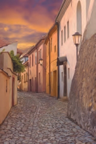 Město Třebíč - Bazilika sv. Prokopa