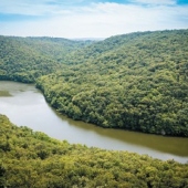 Národní park Podyjí a řeka Dyje Národní park Podyjí a řeka Dyje