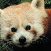 ZOO Liberec ZOO Liberec