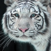 ZOO Liberec ZOO Liberec