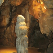 Olomoucký kraj: Mladečské jeskyně