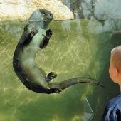 Zoologická a botanická zahrada Plzeň Zoologická a botanická zahrada Plzeň