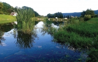 MĚSTO VRBNO POD PRADĚDEM: Biocentrum