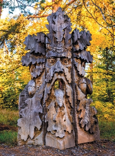 LIBERECKÝ KRAJ : Lesní bytosti - Doksy