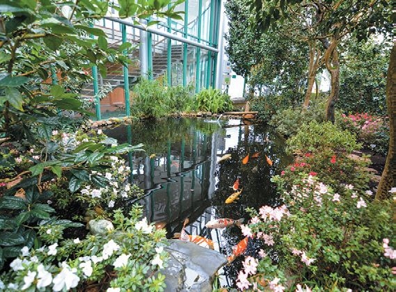 STATUTÁRNÍ MĚSTO LIBEREC: Botanická zahrada