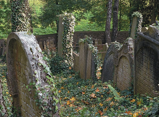MĚSTO TŘEBÍČ: Židovský hřbitov