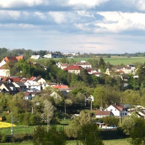 MĚSTO PŘIBYSLAV: -