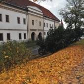 MĚSTO PŘIBYSLAV