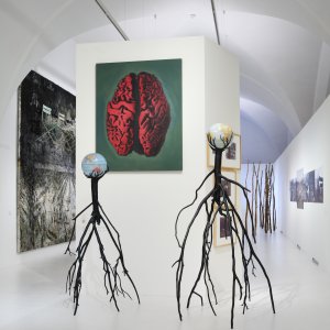 ALŠOVA JIHOČESKÁ GALERIE: Pohled do výstavy Belvedere na Hluboké - Let It GROW Again!