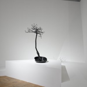 ALŠOVA JIHOČESKÁ GALERIE: Pohled do výstavy Belvedere na Hluboké - Let It GROW Again!