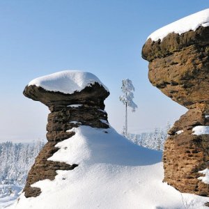 Královohradecký kraj: Skalní hříby
